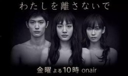 日别视频在线观看,每日必看的热门在线内容回顾